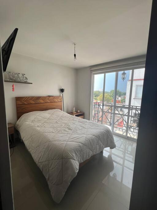 Departamento En Coyoacan Mexikóváros Kültér fotó