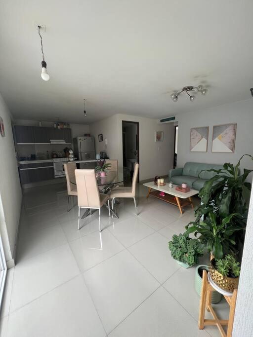 Departamento En Coyoacan Mexikóváros Kültér fotó